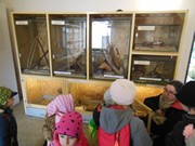 Výlet do Ekocentra Mladá Boleslav - Jaro všemy smysly